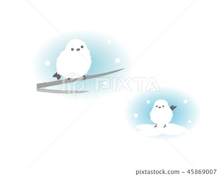 Illustration of cute striped longtail Illustration of cute striped longtail 45869007