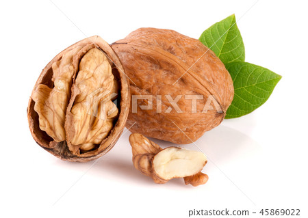 Walnuts with leaf isolated on white background Walnuts with leaf isolated on white background 45869022
