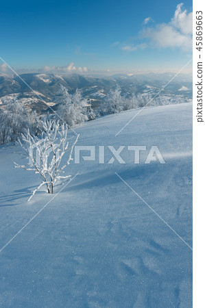 Winter mountain snowy landscape 45869663