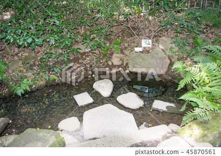 Tokyo, Meiji Jingu Shrine, Kiyomasaido Tokyo, Meiji Jingu Shrine, Kiyomasaido 45870561