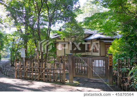 東京，明治神宮，京都 45870564