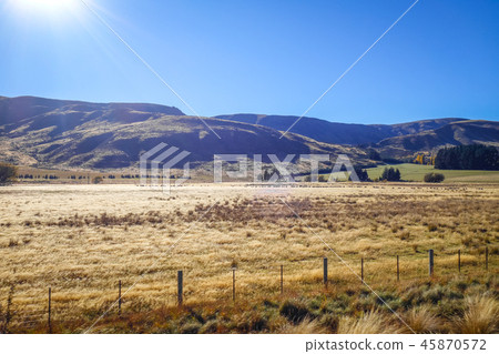 Mountain fields landscape in New Zealand Mountain fields landscape in New Zealand 45870572