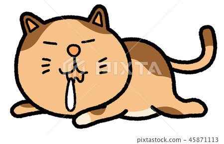 昏昏欲睡的貓 45871113