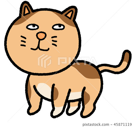 推薦貓 推薦貓 45871119