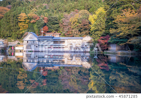 日本美麗楓葉旅行九州金林湖楓葉楓葉秋葉楓樹 45871285