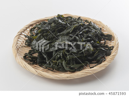 裙帶菜 裙帶菜 45871593