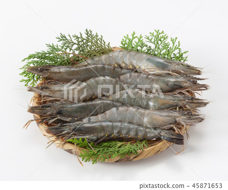 黑虎 黑虎 45871653