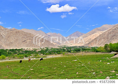 Landscape of Ladakh 45872006