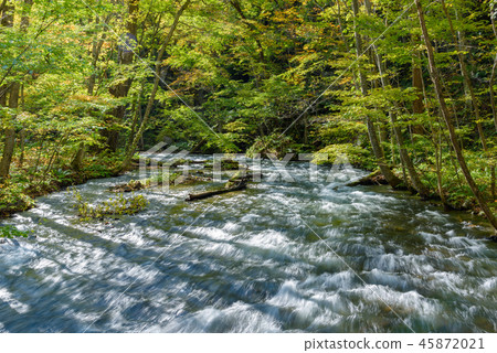 Oirase stream 45872021