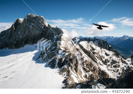 Bird flies over Dachstein glacier, Austria. Bird flies over Dachstein glacier, Austria. 45872290