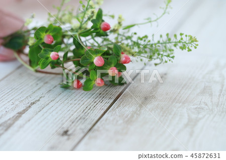 Pipericum fruit 45872631