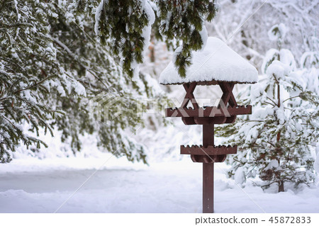 Bird feeder in winter forest, landscape with vergreen coniferous fir branches covered with snow 45872833
