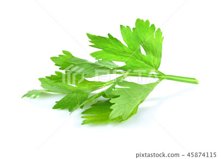 celery isolated on white background celery isolated on white background 45874115