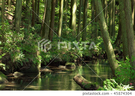 Ushidogawa Ushidogawa 45874304