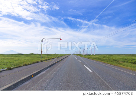 Sarobetsu野外Otonrui風力植物夏天視圖 45874708