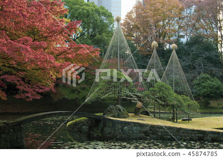 秋葉季節小石川後樂園的內在花園 秋葉季節小石川後樂園的內在花園 45874785