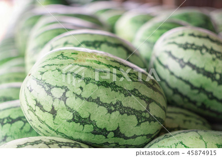 Many big sweet green watermelons Many big sweet green watermelons 45874915