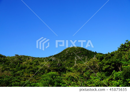 Ishigakijima Nozu Mappe Mountain Ishigakijima Nozu Mappe Mountain 45875635