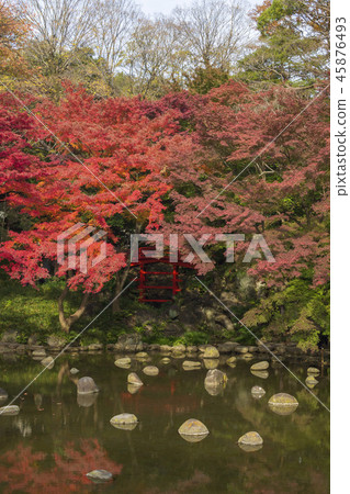 Autumn leaves season Koishikawa Korakuen 45876493