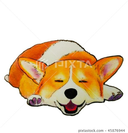 Corgi sleeps open Corgi sleeps open 45876944