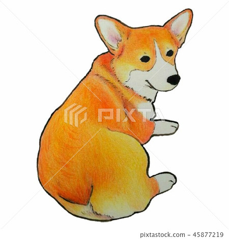 Return corgi 45877219