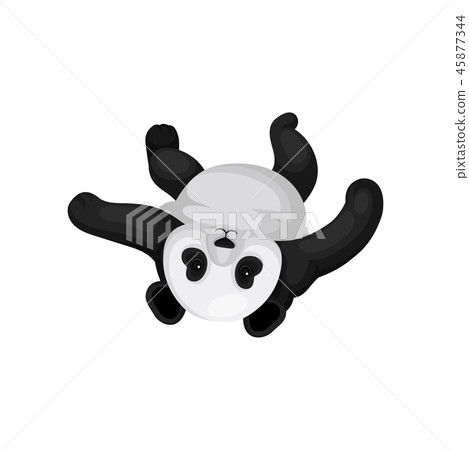 Lovely panda lying on his back. Funny bamboo bear with black and white fur. Flat vector design Lovely panda lying on his back. Funny bamboo bear with black and white fur. Flat vector design 45877344