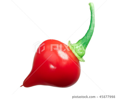 Chupetinho biquinho chile pepper, paths Chupetinho biquinho chile pepper, paths 45877998