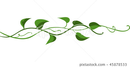 Twisted wild liana branch. Twisted wild liana branch. 45878533