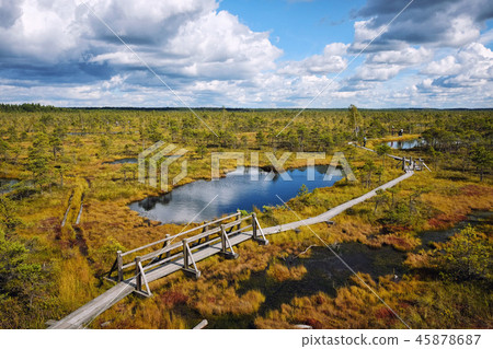 Swamp of Kemeri National Park in Latvia Swamp of Kemeri National Park in Latvia 45878687