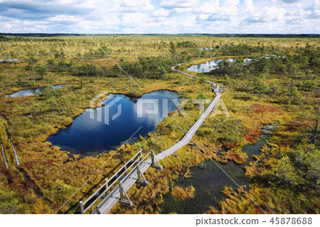 Swamp of Kemeri National Park in Latvia Swamp of Kemeri National Park in Latvia 45878688