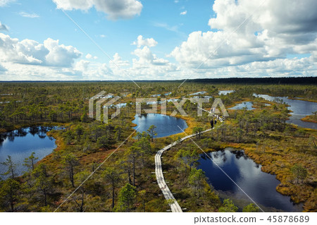 Swamp of Kemeri National Park in Latvia Swamp of Kemeri National Park in Latvia 45878689
