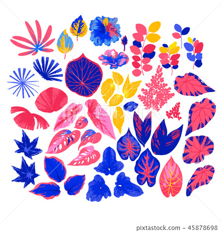 Vector collection of different exotic leaves drawn in the technique of rough brush Vector collection of different exotic leaves drawn in the technique of rough brush 45878698
