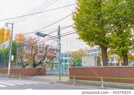在京王大學附近 45878920