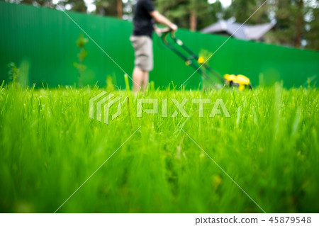 Mowing or cutting the long grass with lawn mower in the summer sun 45879548