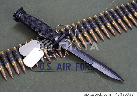 bayonet and ammunition belt  45880358