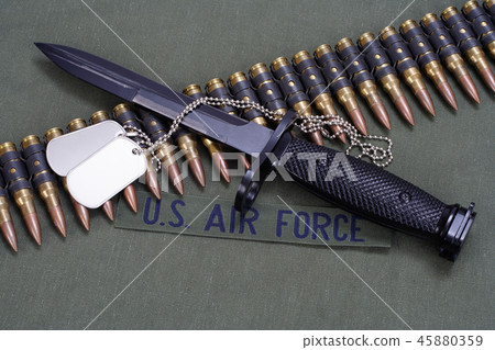 bayonet and ammunition belt  45880359