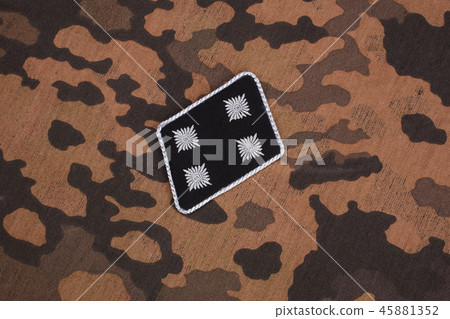 WW2 German Waffen-SS military insignia  45881352