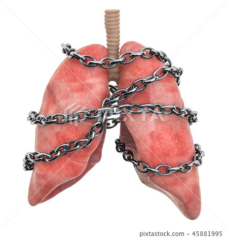 Lungs Pain concept. Human lungs with chain Lungs Pain concept. Human lungs with chain 45881995