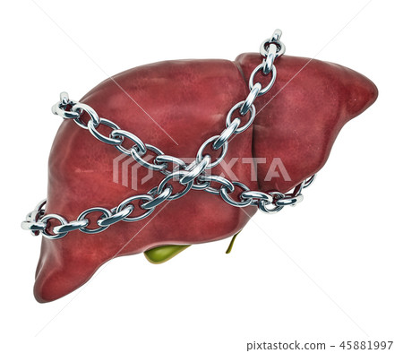 Liver Pain concept. Human liver with chain 45881997