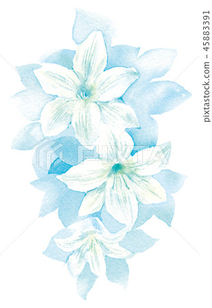 White lily votive flower watercolor 45883391
