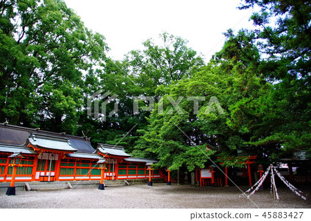 Kumano Miyama Kumano Hayatama Taisha eight shrines (Wakayama Shingu city) 45883427