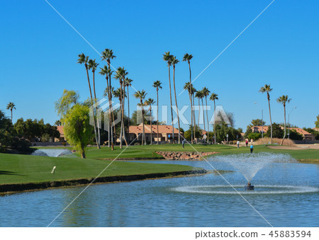 Water fountains & Palm Trees, Glendale, Arizona 45883594