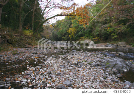 Azuma Gorge of autumn leaves Doremifa Bridge 45884063