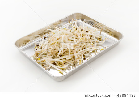 豆芽 豆芽 45884485