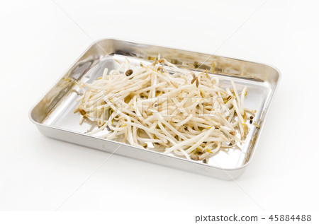 Bean sprouts 45884488