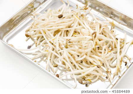 Bean sprouts 45884489
