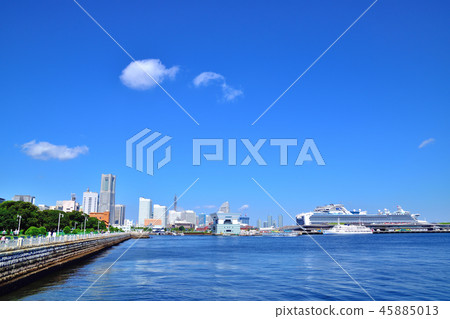 A luxury cruise ship Diamond Princess anchored on the Great Pier 45885013