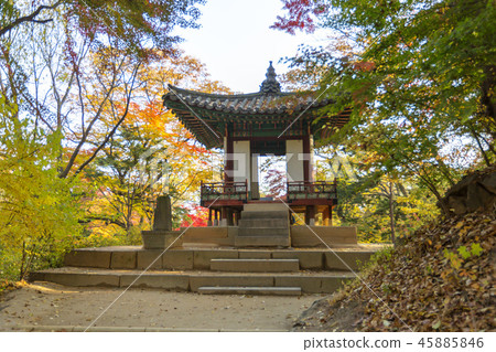 Seoul, Korea, Changdeokgung Palace, Palace 45885846