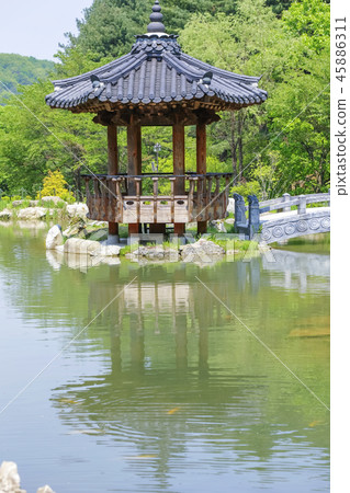 Gyeonggi-do, Korea, Gapyeong, Morning Calm Arboretum Gyeonggi-do, Korea, Gapyeong, Morning Calm Arboretum 45886311
