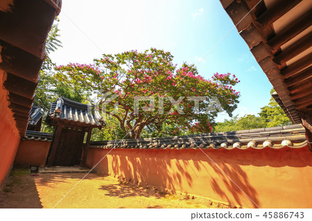 Gangwon-do, Korea, Gangneung, Mission Field Gangwon-do, Korea, Gangneung, Mission Field 45886743